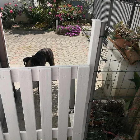 La Pianta Grassa A 2 Passi Dal Centro * Rávena